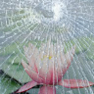 Meet your Posher, Doug